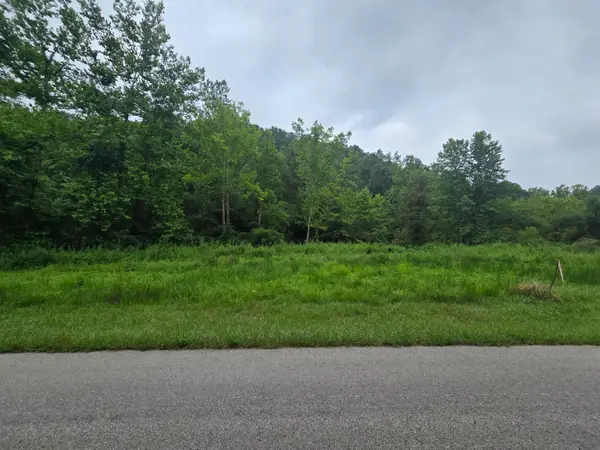 Lot 1,2,3,4 High Rock Road, Stanton, KY 40380