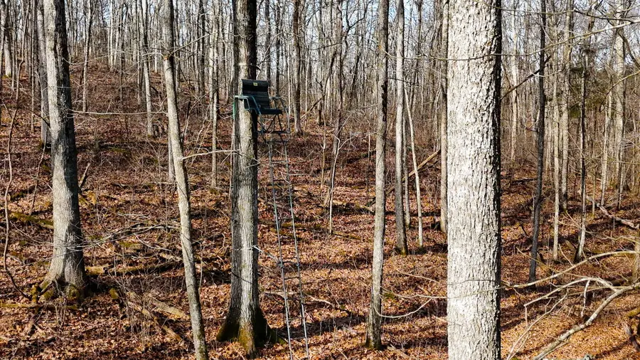 0000 Baxter Ridge Road, Lawrenceburg, KY 40342 - Image #3