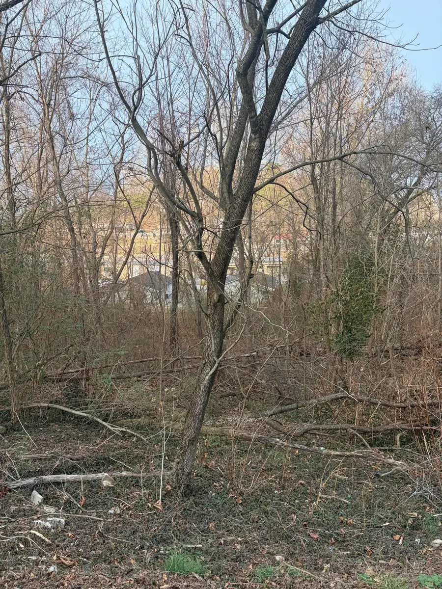 1306 Griffin Street, London, KY 40741 - Image #3