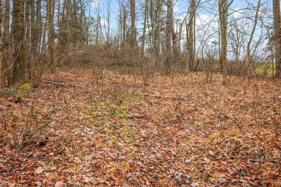 77 Barnett Road, Russell Springs, KY 42642 - Image #3