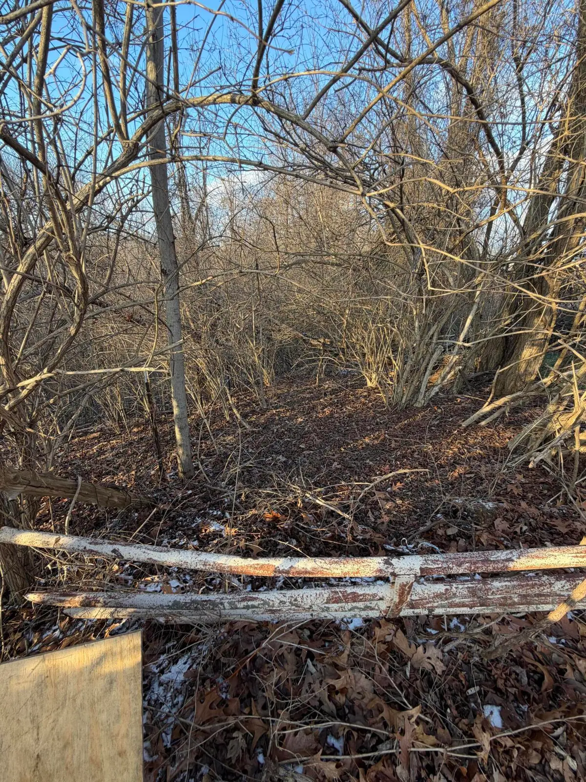 9998 Hurst School Road, McKee, KY 40447 - Image #1