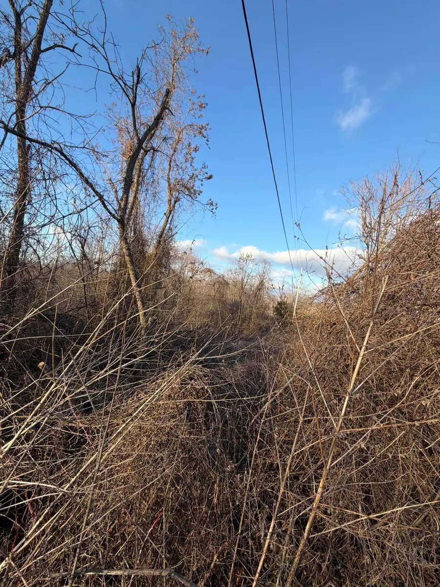 9998 Hurst School Road, McKee, KY 40447 - Image #2