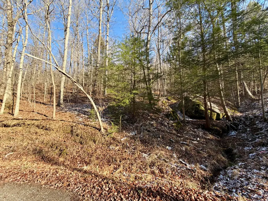 9999 Rocky Branch Road, East Bernstadt, KY 40729 - Image #2