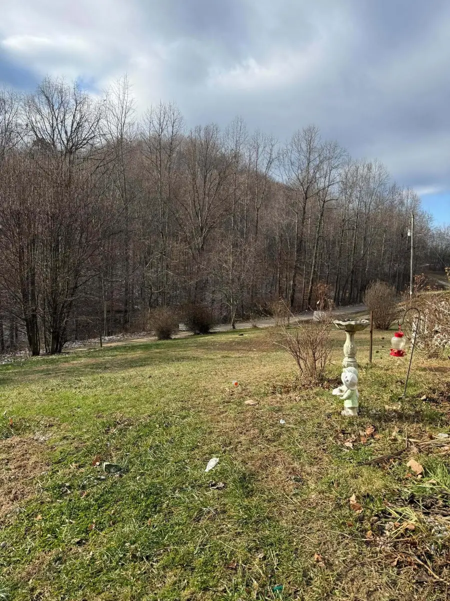 1240 Finger Board Road, Vanceburg, KY 41179 - Image #3