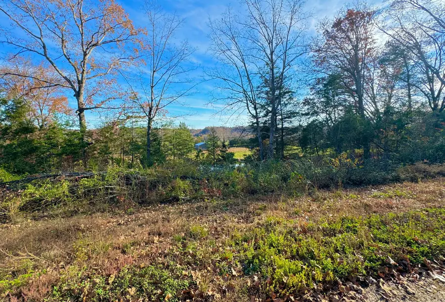 9108 S 501, Liberty, KY 42539 - Image #2