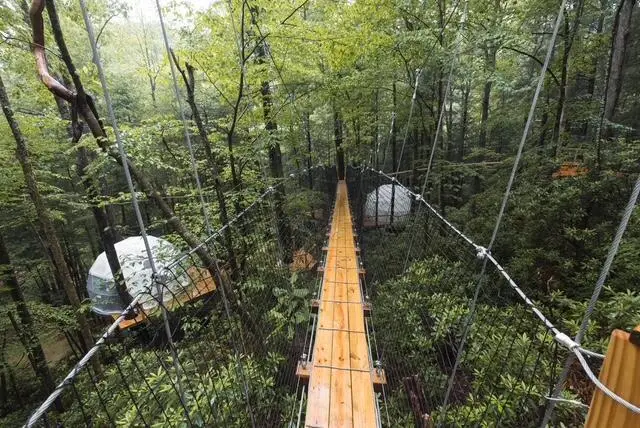 242 Cave Holw Road, Campton, KY 41301 - Image #2