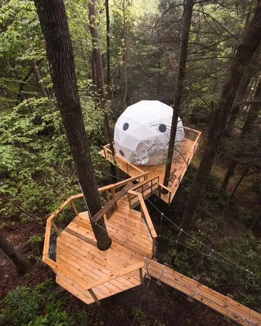 242 Cave Holw Road, Campton, KY 41301 - Image #3