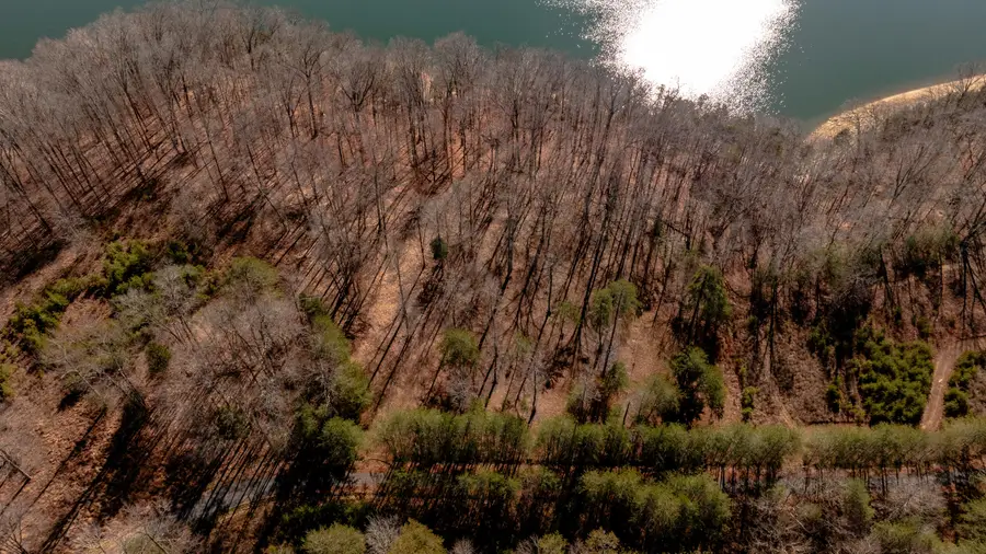 Lot 17 Twin Creeks Loop, Jamestown, KY 42629 - Image #3