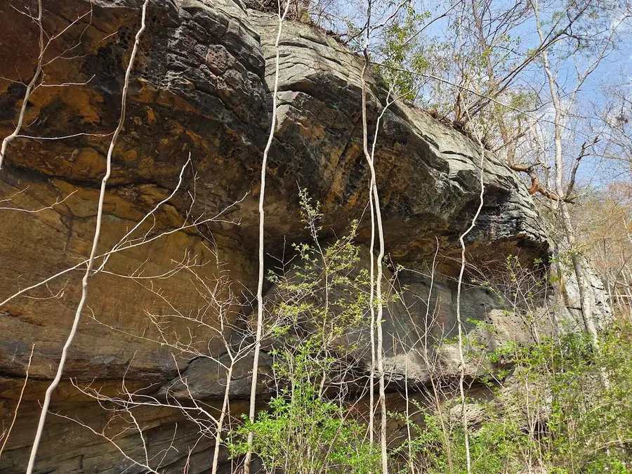 MAP: 105-80-00-039.00 D Street, Louisa, KY 41230 - #2