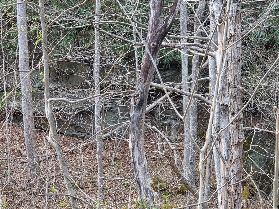 MAP: 105-80-00-039.00 D Street, Louisa, KY 41230 - #3