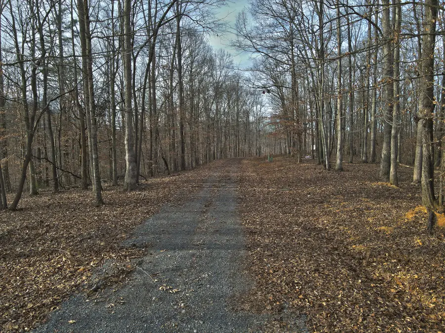 44 Carson Road, Russell Springs, KY 42642 - #2