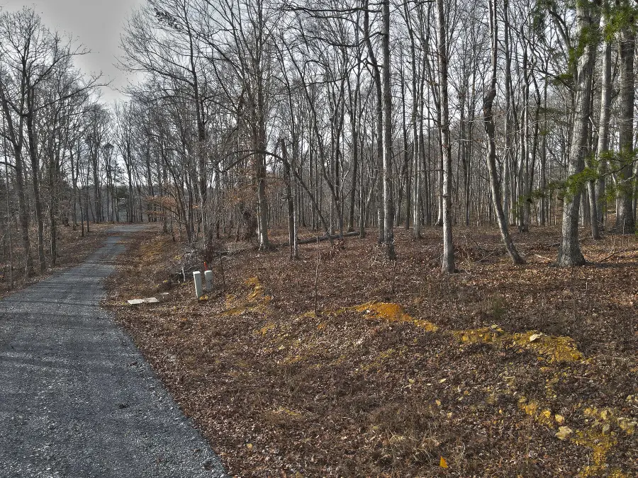 45 Carson Road, Russell Springs, KY 42642 - #2