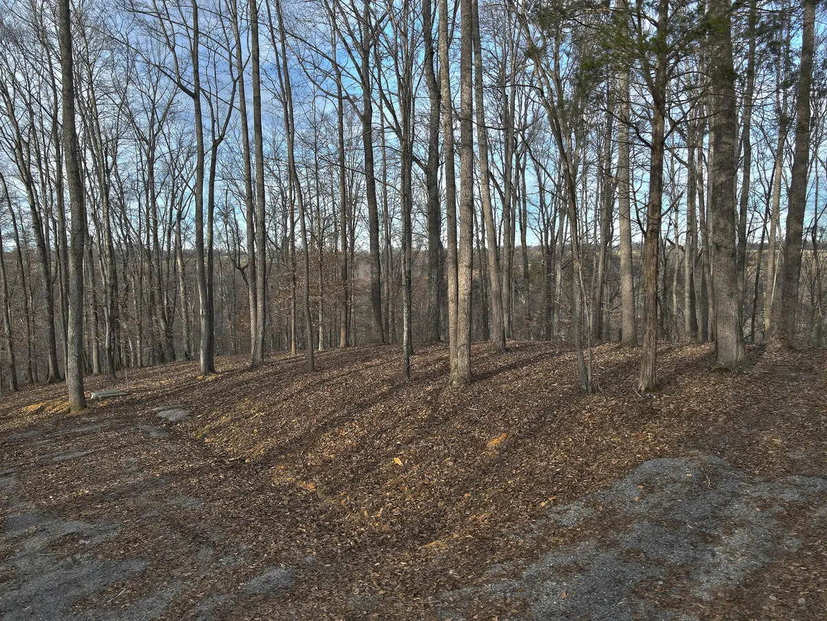 25 Piper Road, Russell Springs, KY 42642 - #1