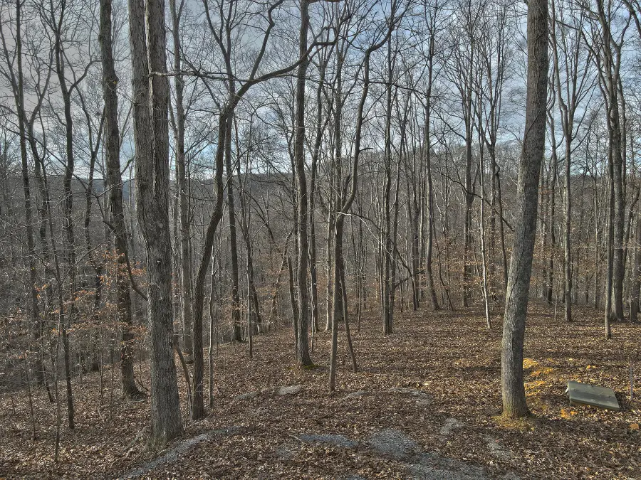 25 Piper Road, Russell Springs, KY 42642 - #2