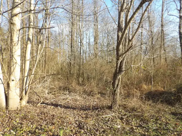 312 Blakely Lane, Middlesboro, KY 40965