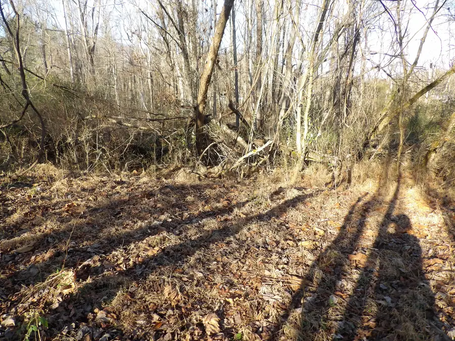 312 Blakely Lane, Middlesboro, KY 40965 - Image #2