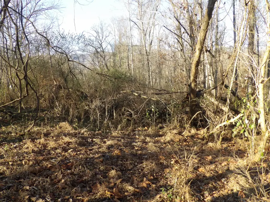 312 Blakely Lane, Middlesboro, KY 40965 - Image #3