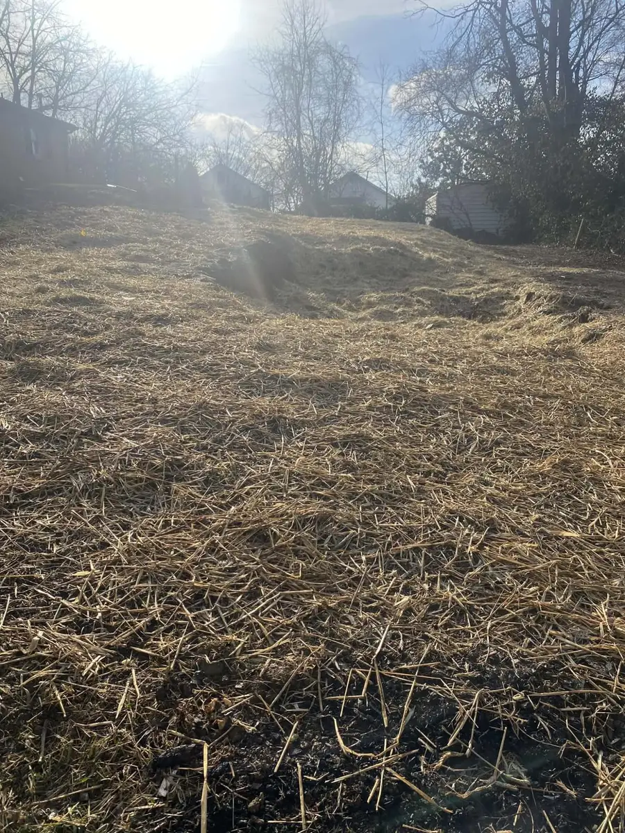 615 Westover Avenue, Richmond, KY 40475 - Image #3