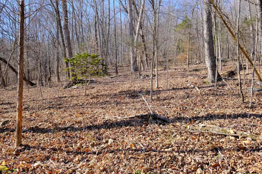 166 Regal Avenue, Somerset, KY 42501 - Image #3