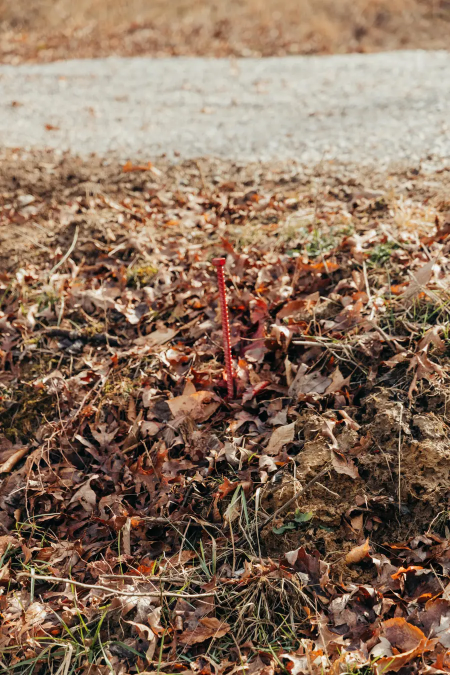 0 tbd Whites Branch Road, Wellington, KY 40387 - #2