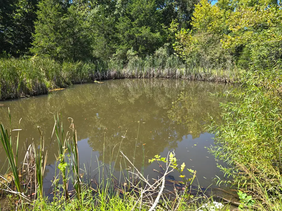 3201 Harp Pike, Frankfort, KY 40601 - Image #2