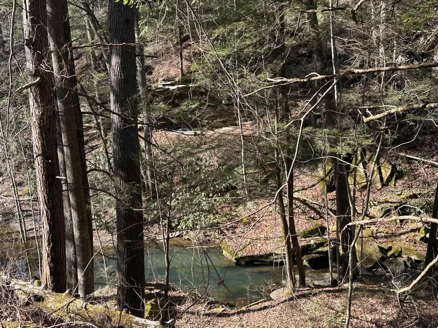 9C Baldwin Road #9C, McKee, KY 40447 - Image #2