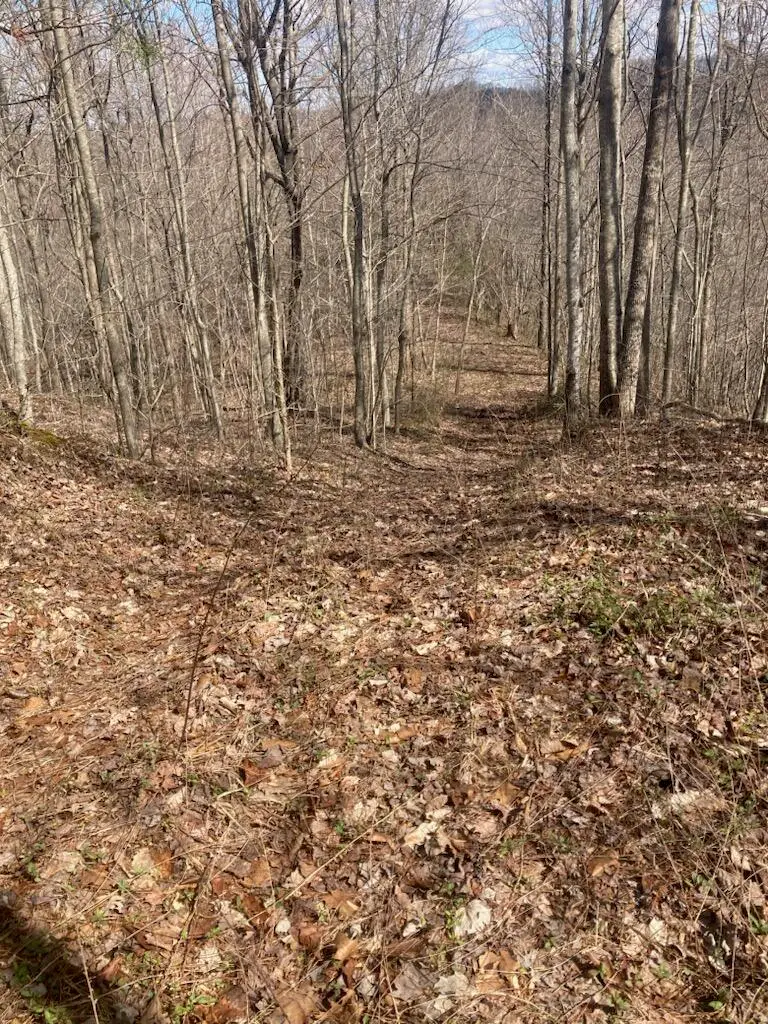 6 Toby Road, Manchester, KY 40962 - #2