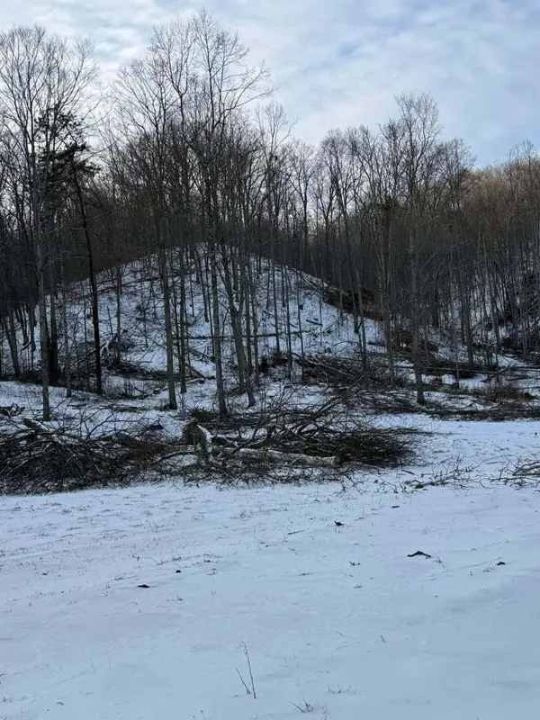 0 Big Perry Road, Morehead, KY 40351