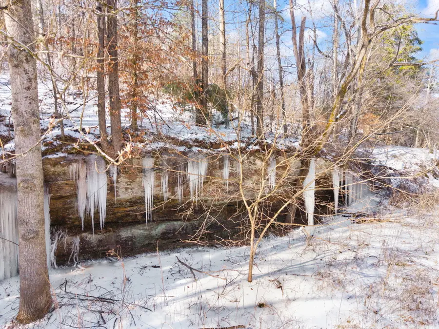 165 Pomeroyton-wellington Road, Wellington, KY 40387 - Image #3