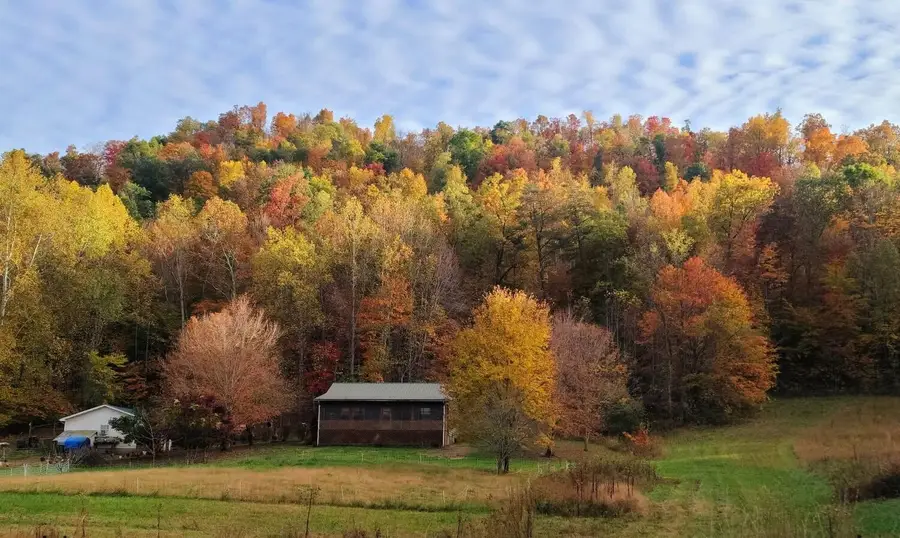 400 Herman Becraft Spur Road, Means, KY 40346 - #3