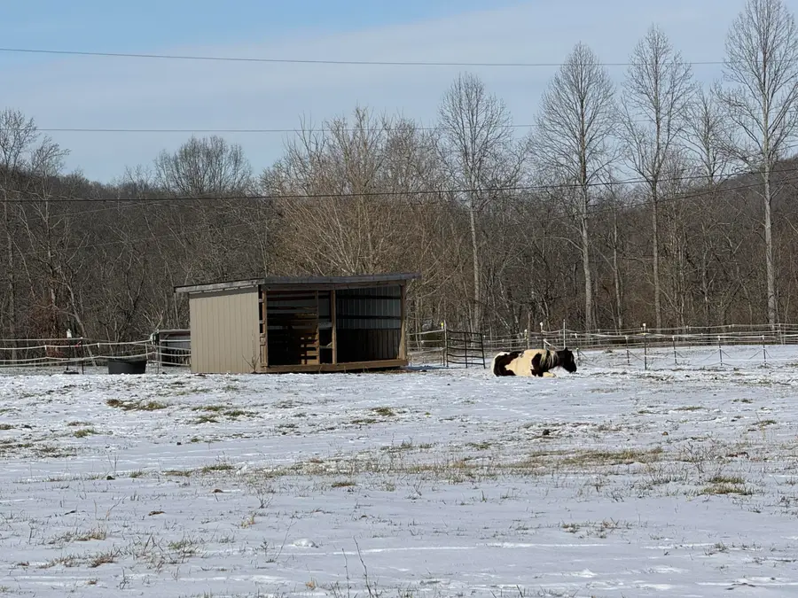 787 Cooper Hollow Road, Monticello, KY 42633 - Image #3