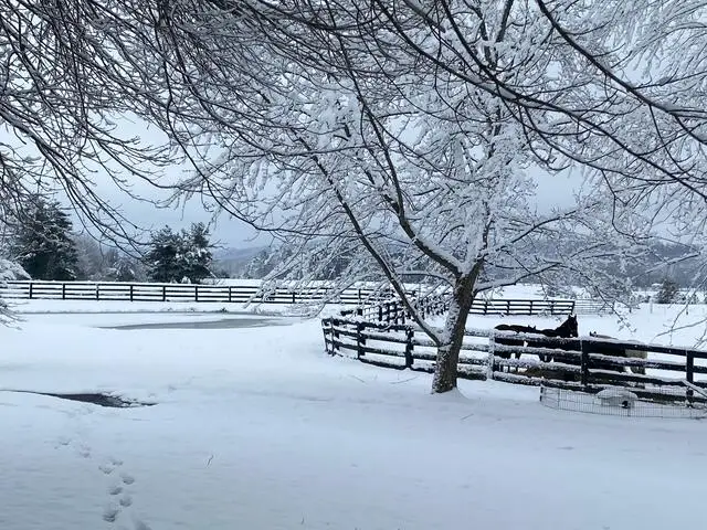 575 Smith Brewer Road, London, KY 40744 - #1