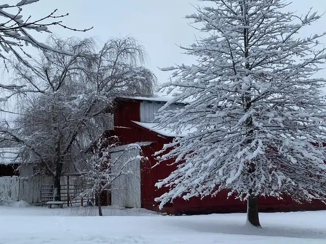 575 Smith Brewer Road, London, KY 40744 - #2