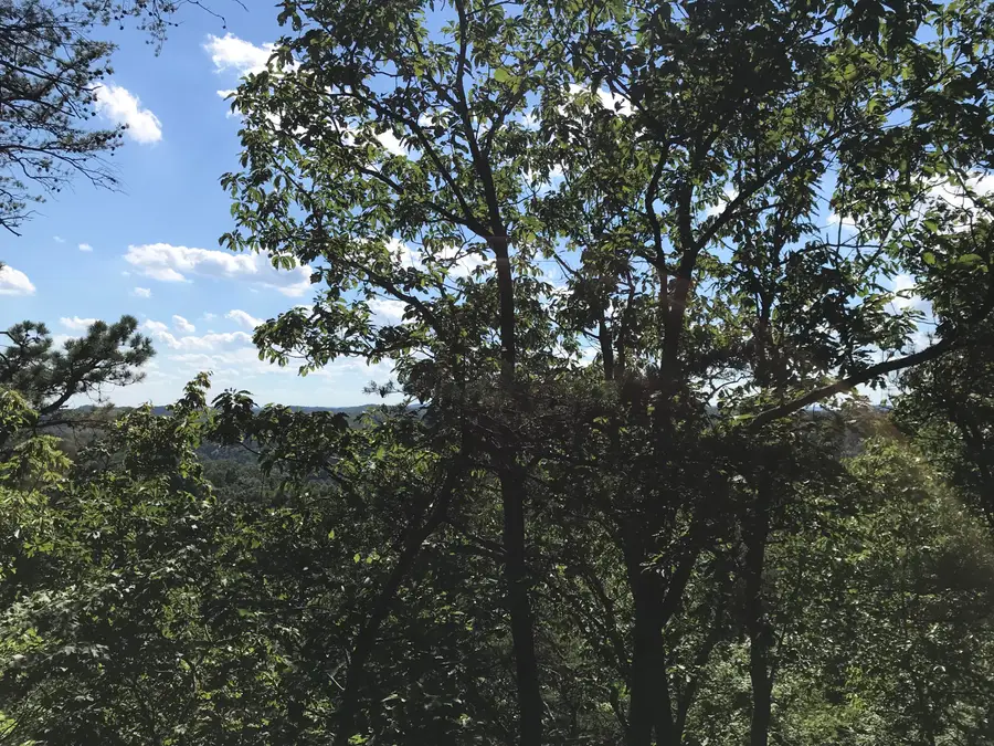 0 South Fork, Stanton, KY 40380 - #2