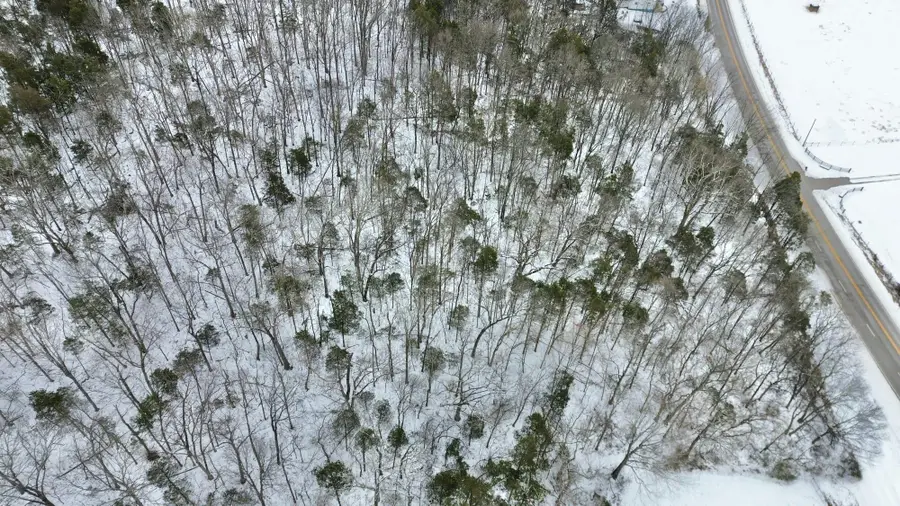 47A  Louisville Road, Smiths Grove, KY 42171 - #2