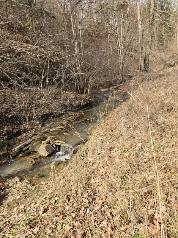 869 N Hwy 708, Beattyville, KY 41311 - #3