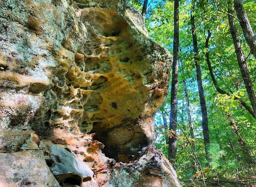 1030 Nada Tunnel Road, Stanton, KY 40380 - #1