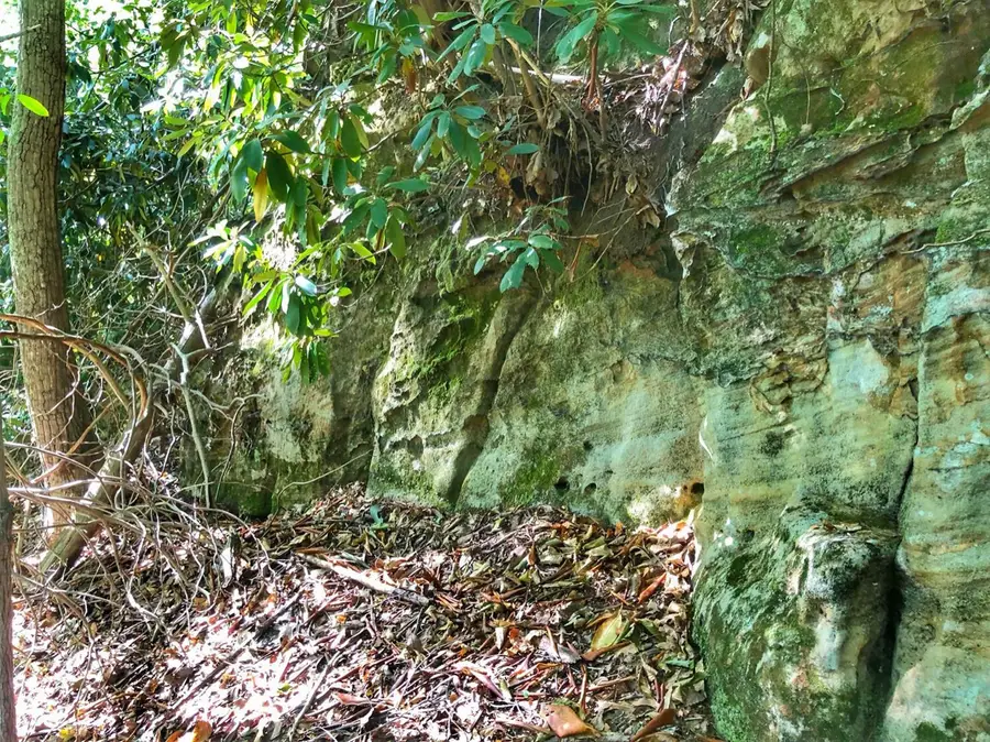 1030 Nada Tunnel Road, Stanton, KY 40380 - #2