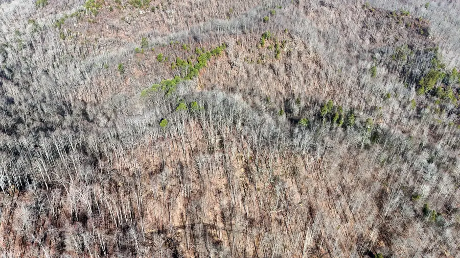 0 Polls Creek Road, Yeaddiss, KY 41777 - #2