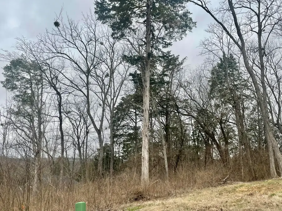 628 Persimmon Ridge Trail, Richmond, KY 40475 - #3