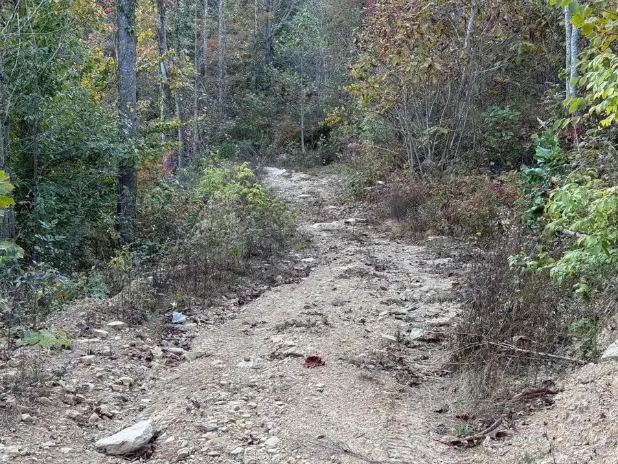 30  Highway 89, Livingston, KY 40445 - #2