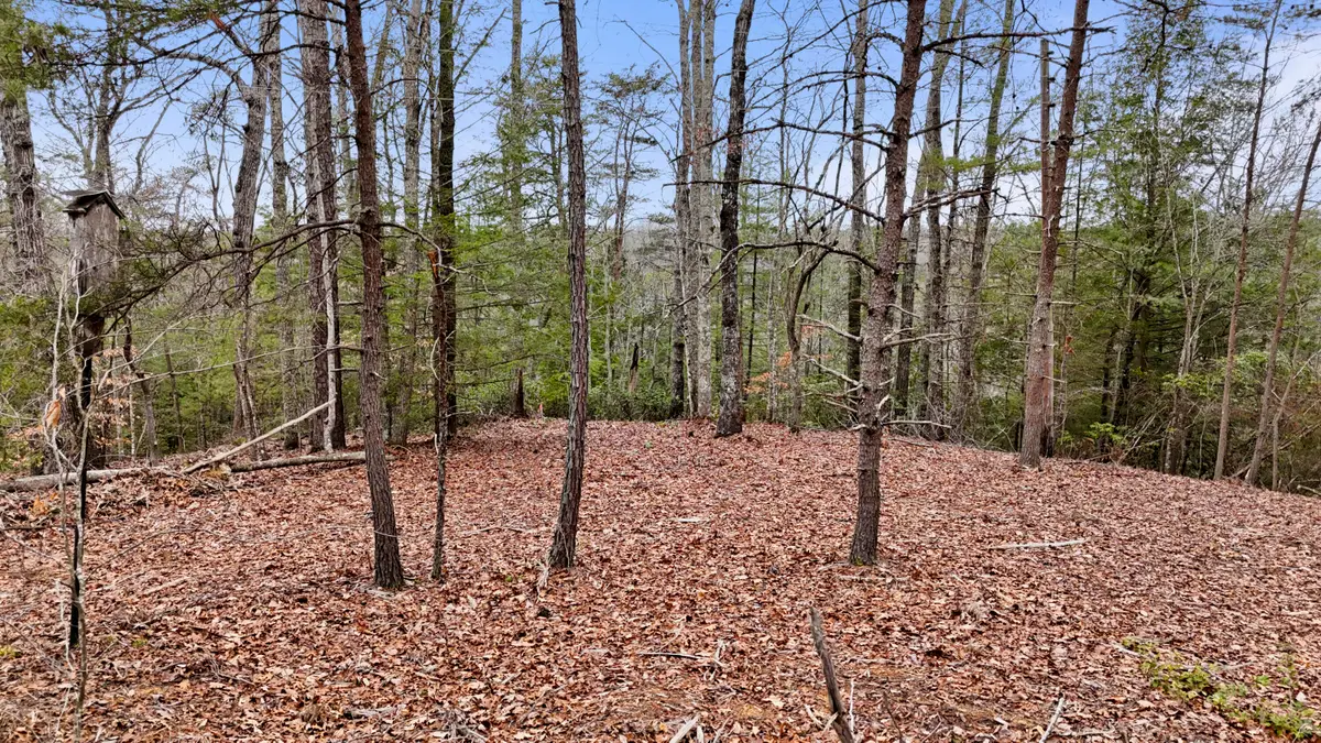 235 Eureka Road, Zoe, KY 41397 - #1