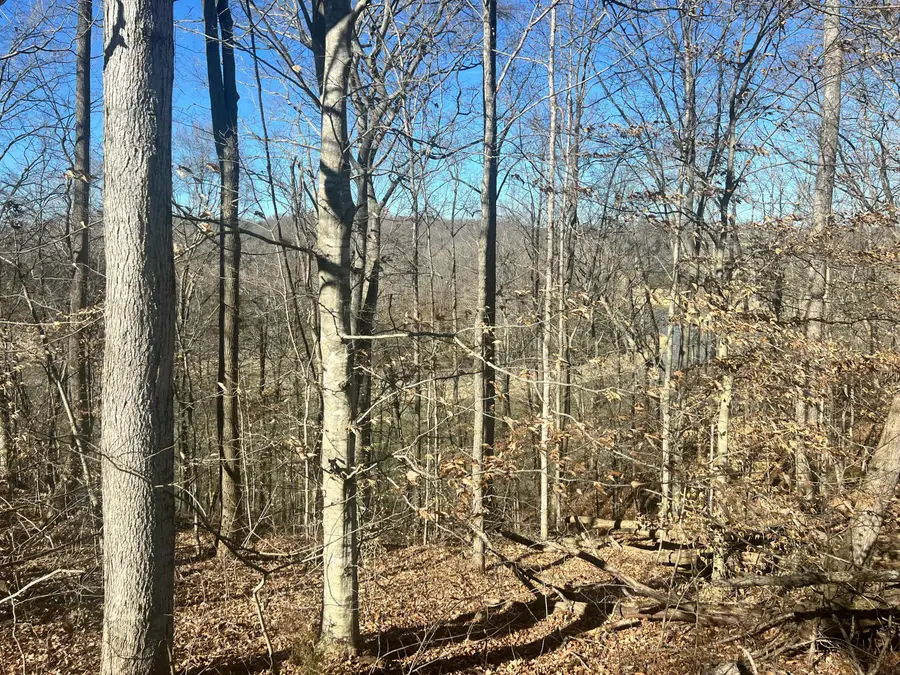 45 Shepperd Drive, Nancy, KY 42544 - #3