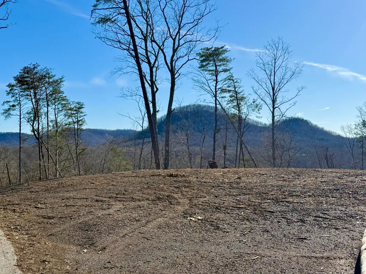 Lot 2 Woodland Estates, Irvine, KY 40336 - #1