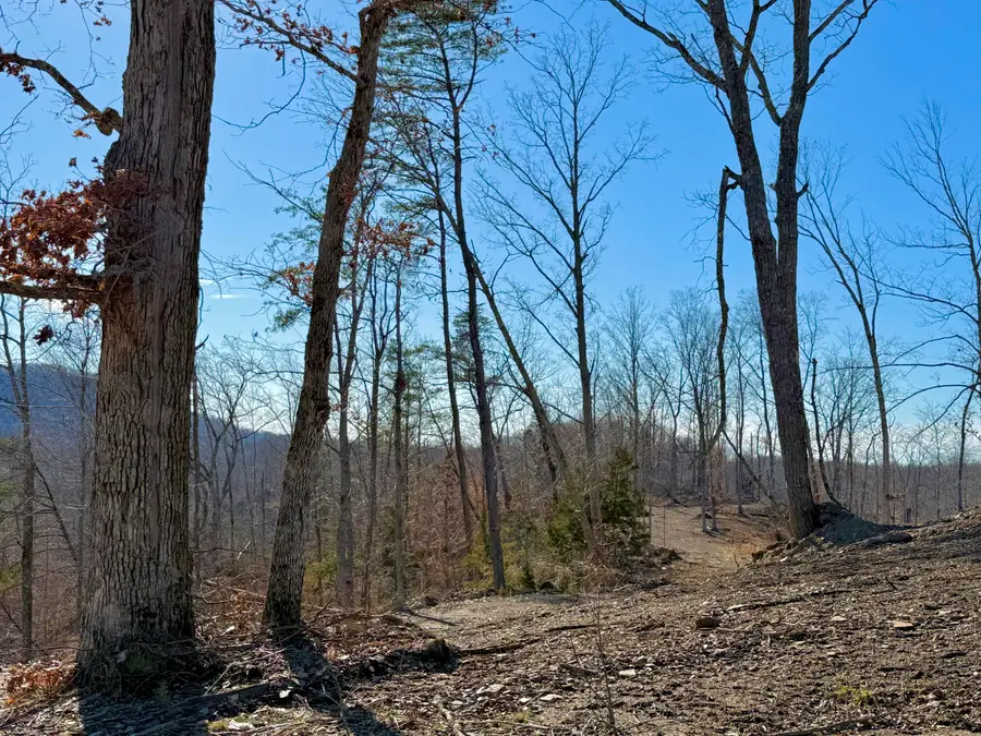 Lot 2 Woodland Estates, Irvine, KY 40336 - #3