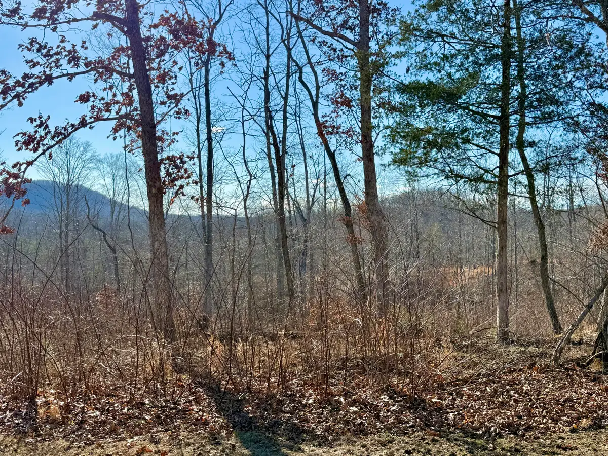 Lot 3 Woodland Estates, Irvine, KY 40336 - #1
