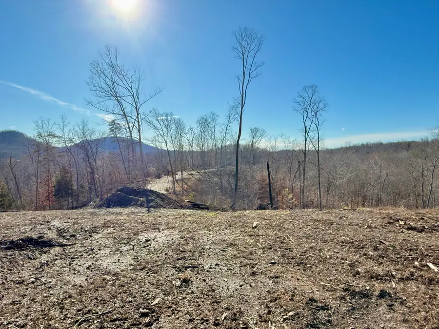 Lot 4 Woodland Estates, Irvine, KY 40336 - #3