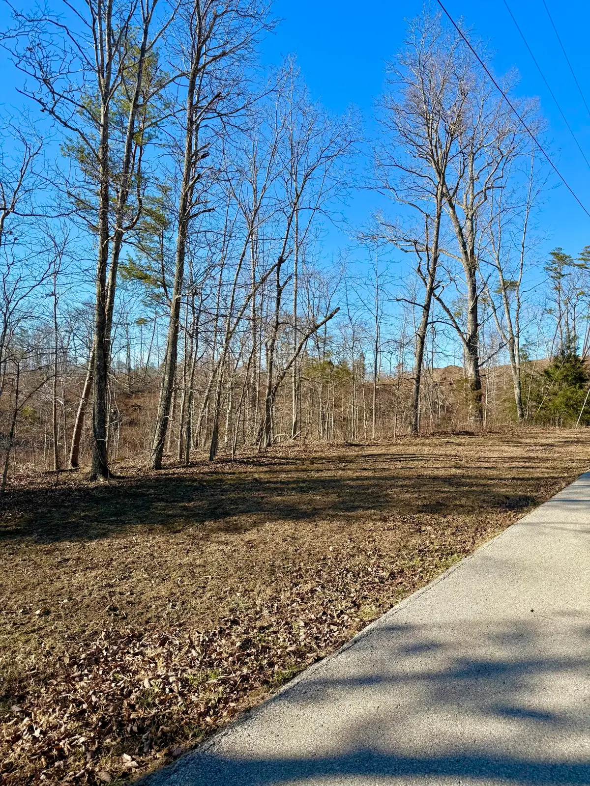 Lot 5 Woodland Estates, Irvine, KY 40336 - #1