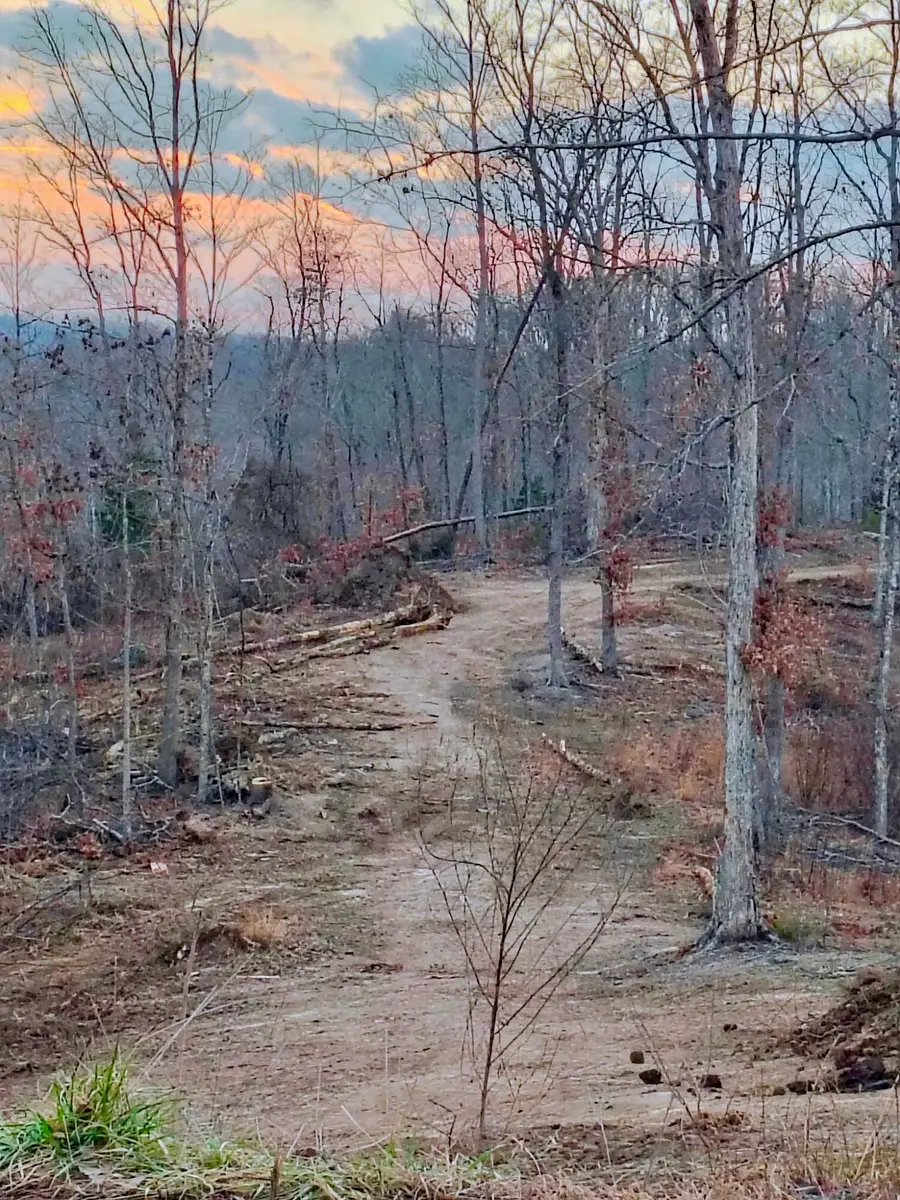 Lot 5 Woodland Estates, Irvine, KY 40336 - #2