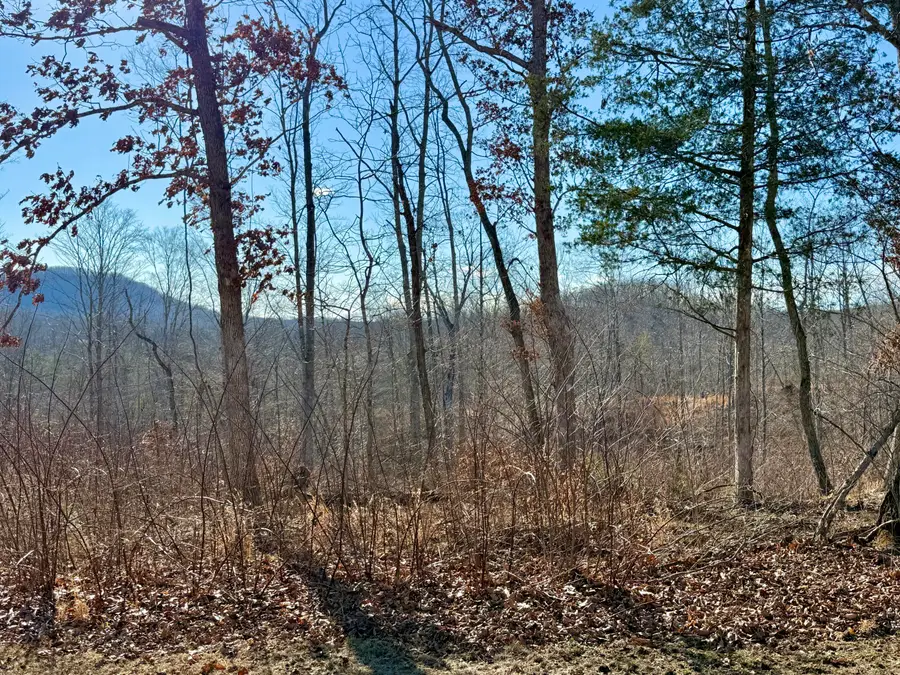 Lot 5 Woodland Estates, Irvine, KY 40336 - #3